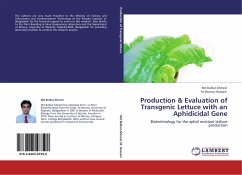 Production & Evaluation of Transgenic Lettuce with an Aphidicidal Gene