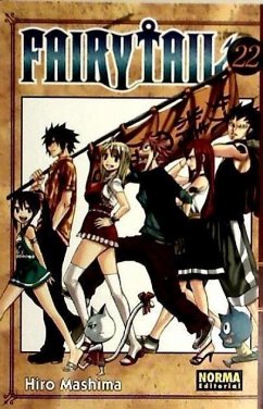 Fairy Tail 22