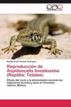 Reproducción de Aspidoscelis lineatissima (Reptilia: Teiidae) - Güizado Rodríguez, Martha Anahi