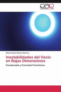 Inestabilidades del Vacío en Bajas Dimensiones - Reyes Ramirez, Edward Daniel