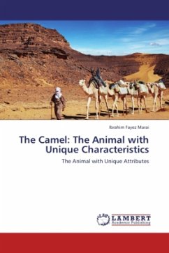 The Camel: The Animal with Unique Characteristics