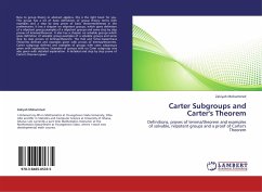 Carter Subgroups and Carter's Theorem