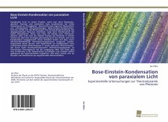 Bose-Einstein-Kondensation von paraxialem Licht - Klärs, Jan