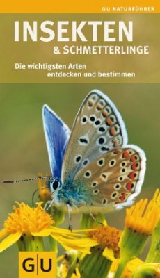 Insekten und Schmetterlinge - von Brandt, Ingrid