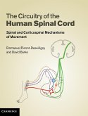 The Circuitry of the Human Spinal Cord