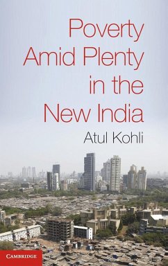 Poverty Amid Plenty in the New India - Kohli, Atul