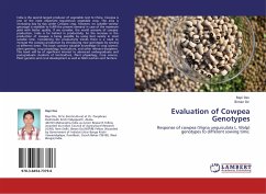 Evaluation of Cowpea Genotypes