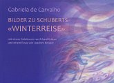 Bilder zu Schuberts 'Winterreise'