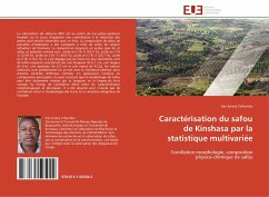 Caractérisation du safou de Kinshasa par la statistique multivariée - Tshiombe, Van Emery