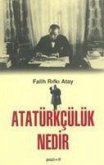 Atatürkcülük Nedir