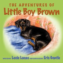 The Adventures of Little Boy Brown - Lucas, Lexie