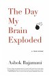 Day My Brain Exploded - Bild 1