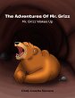 The Adventures of Mr. Grizz - Bild 1