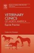 Endocrine Diseases, an Issue of... - Bild 1
