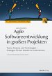 Agile Softwareentwicklung in großen... - Bild 1