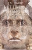 Not Finding Wittgenstein Not Finding Wittgenstein