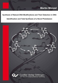 Synthese natürlicher DNA Modifikationen und deren Detektion in DNA - Identifikation und Totalsynthese eines neuartigen DNA Photoschadens - Münzel, Martin