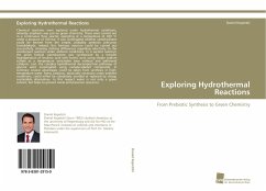 Exploring Hydrothermal Reactions - Kopetzki, Daniel