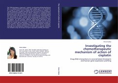 Investigating the chemotherapeutic mechanism of action of cisplatin