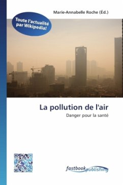 La pollution de l'air