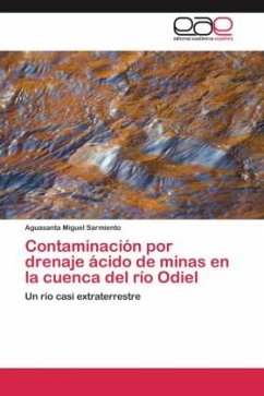 Contaminación por drenaje ácido de minas en la cuenca del río Odiel - Miguel Sarmiento, Aguasanta