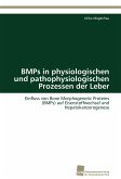BMPs in physiologischen und pathophysiologischen Prozessen der Leber