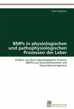 BMPs in physiologischen und pathophysiologischen Prozessen der Leber - Mägdefrau, Ulrike