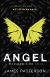 Angel: A Maximum Ride Novel - Bild 1