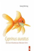 Cyprinus auratus