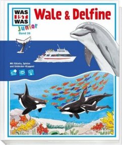 Wale & Delfine / Was ist was junior Bd.26