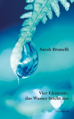Cover Vier Elemente, das Wasser bricht aus