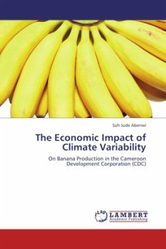 The Economic Impact of Climate Variability