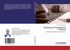 Anatomy of Investment Projects - McDubus, Onyuka Felix