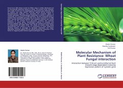 Molecular Mechanism of Plant Resistance: Wheat Fungal interaction - Purwar, Shalini;Sundaram, Shanthy;Kumar, Anil