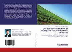 Genetic transformation of Blackgram for abiotic stress tolerance