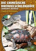 Art für Art: Die Chinesische Dreikielschildkröte