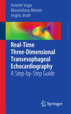 Real-Time Three-Dimensional Transesophageal Echocardiography - Vegas, Annette;Meineri, Massimiliano;Jerath, Angela