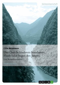 Der Drei-Schluchten-Staudamm: Fluch oder Segen des Jangtse - Neumann, Cilia