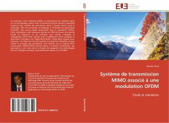 Système de transmission MIMO associé à une modulation OFDM - Dridi, Borhen