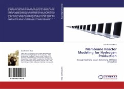 Membrane Reactor Modeling for Hydrogen Production - Roux, Jean-Francois