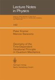 Geometry of the Time-Dependent Variational Principle in Quantum Mechanics