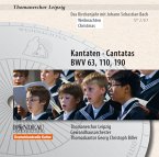 Kantaten Bwv 63,110,190 (Weihnachten)