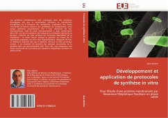 Développement et application de protocoles de synthèse in vitro - Abdine, Alaa