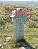 Pilgern auf dem Olavsweg