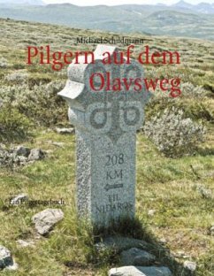 Pilgern auf dem Olavsweg - Schildmann, Michael