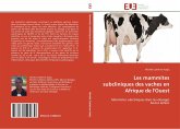 Les mammites subcliniques des vaches en Afrique de l'Ouest