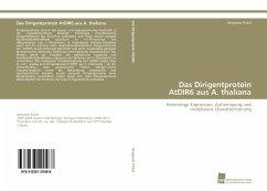 Das Dirigentprotein AtDIR6 aus A. thaliana - Pickel, Benjamin