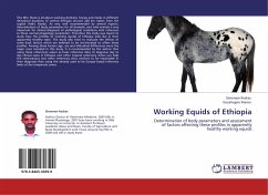 Working Equids of Ethiopia