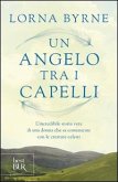Un angelo tra i capelli Un angelo tra i capelli