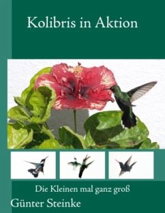 Kolibris in Aktion - Steinke, Günter